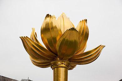 魔女之泉3：荒野求生，探寻神秘凄凉食物之旅